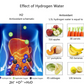 Hydro Go™ Portable Water Ionizer