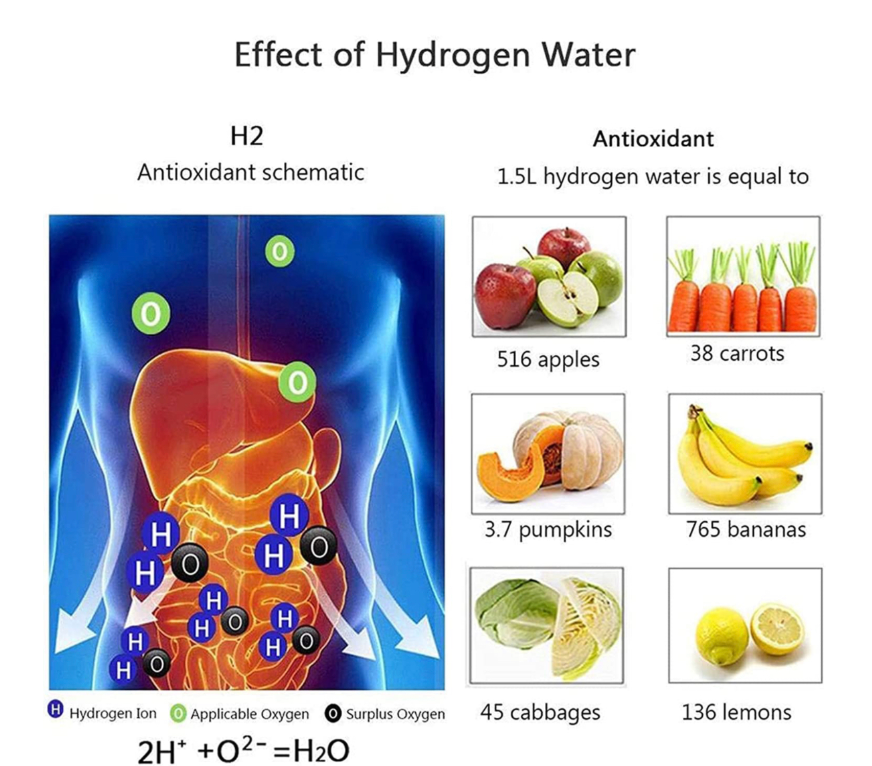 Hydro Go™ Portable Water Ionizer